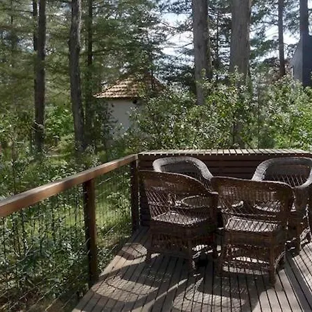 Hostal Monte Carlo - Alojamento Local Pedras Salgadas