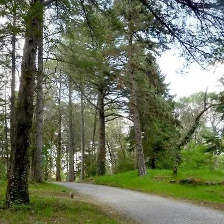 Hostal Monte Carlo - Alojamento Local