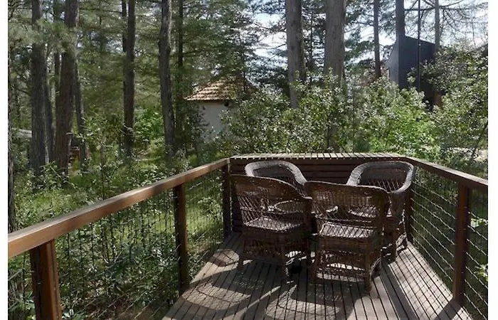 Vandrerhjem Monte Carlo - Alojamento Local Pedras Salgadas