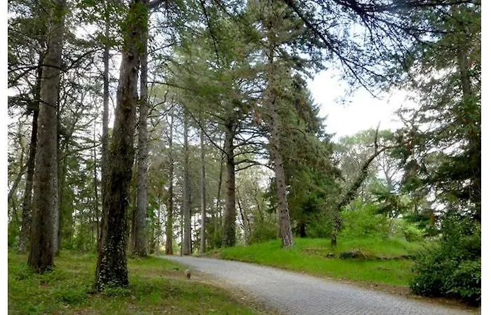 Vandrerhjem Monte Carlo - Alojamento Local